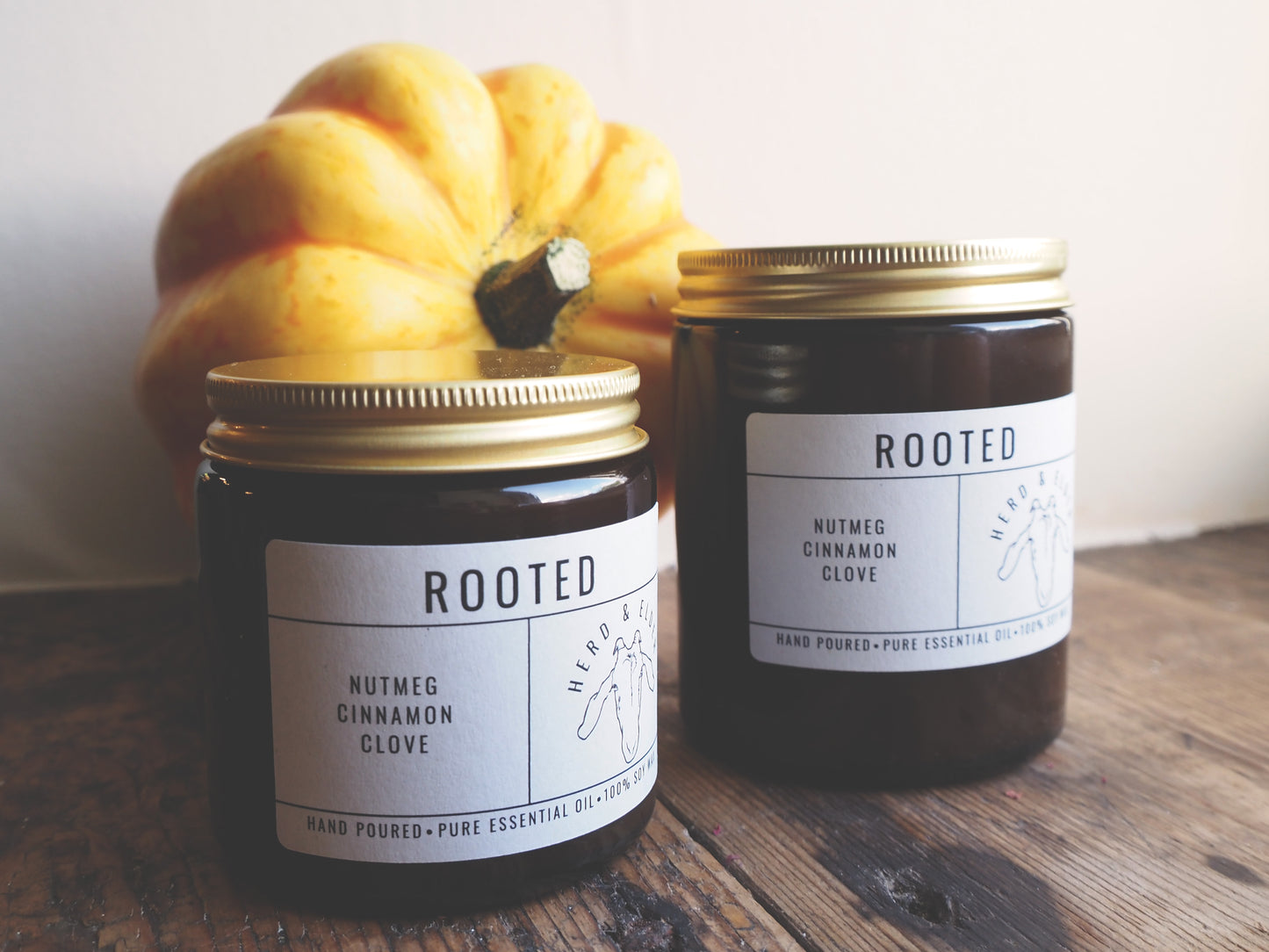 Rooted – Pumpkin Spice Inspired Candle with Essential Oils | Autumn & Christmas Scent in two glass jars with a pumpkin.
